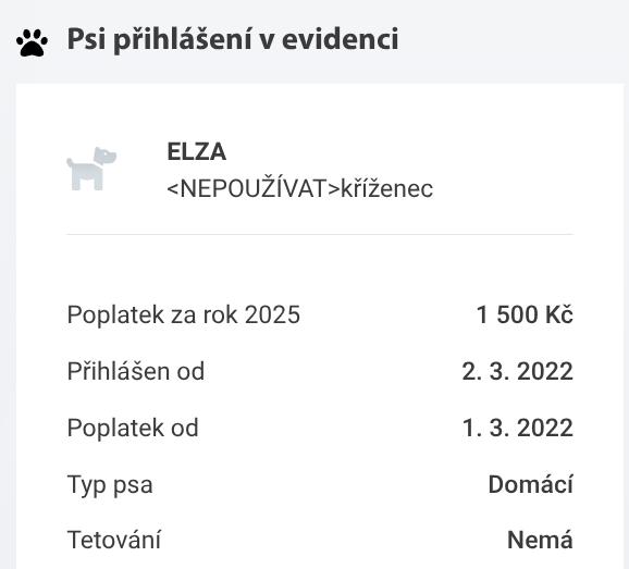elza portál