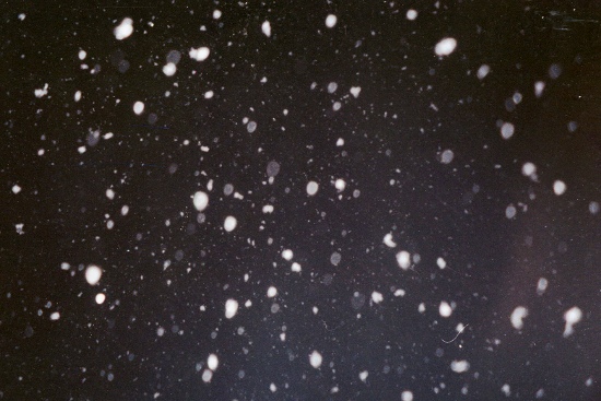 Pad� sn�ch, jede pedofil na san�ch