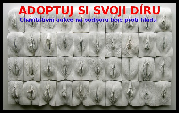 Adoptuj si svoji d�ru