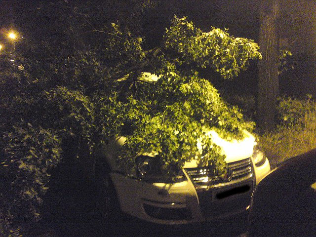 Momentka z ven�en�