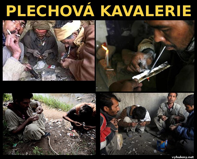 Plechov� kavalerie