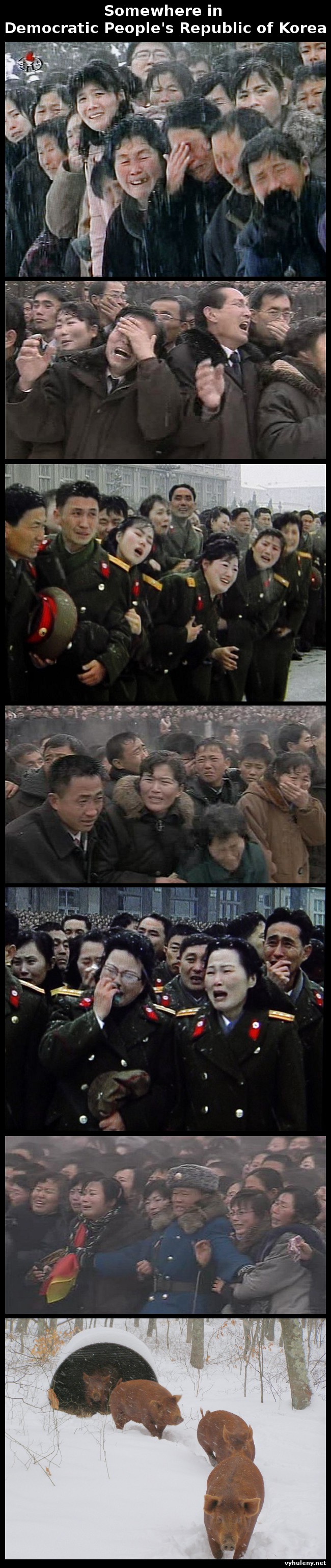 Kdesi v severn� korei