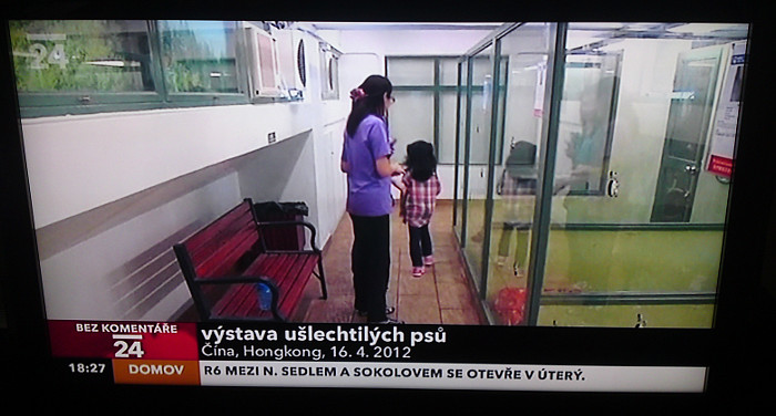 V�stava u�lechtil�ch ps�