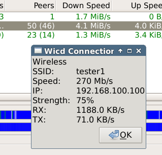rychlost stahov�n�
