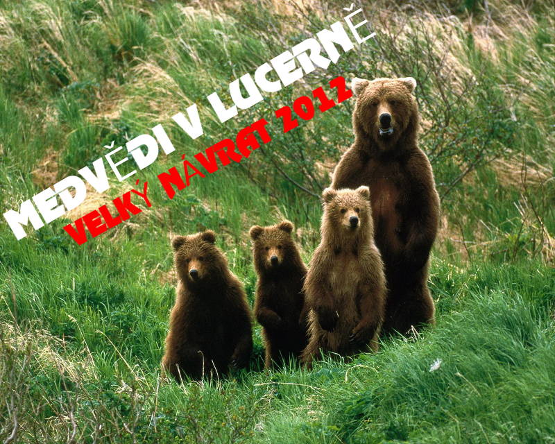 nedv�di v lucern� 2012
