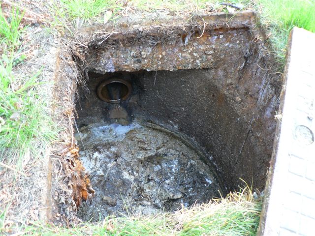 kde bydl� je���ek