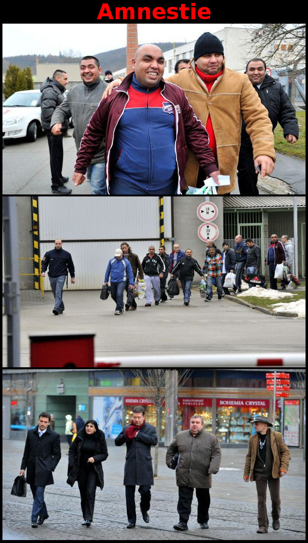 amnestie - propou�t�n� amnestovan�ch