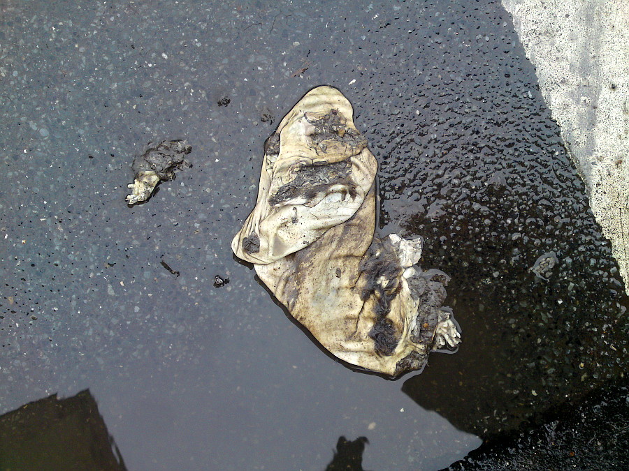 potk�nk�v ko���ek