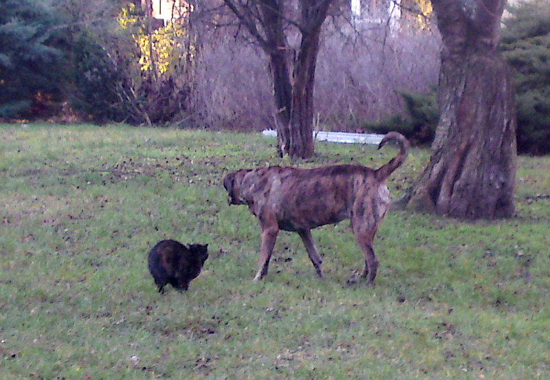 bl�zk� setk�n�