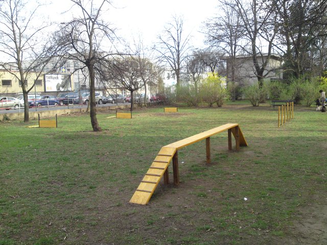 Cvi��k 01