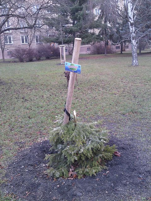 Strom za ka�d� narozen� d�t�