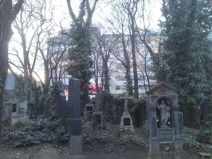 Ol�ansk� h�bitovy 01