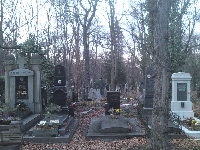 Ol�ansk� h�bitovy 02