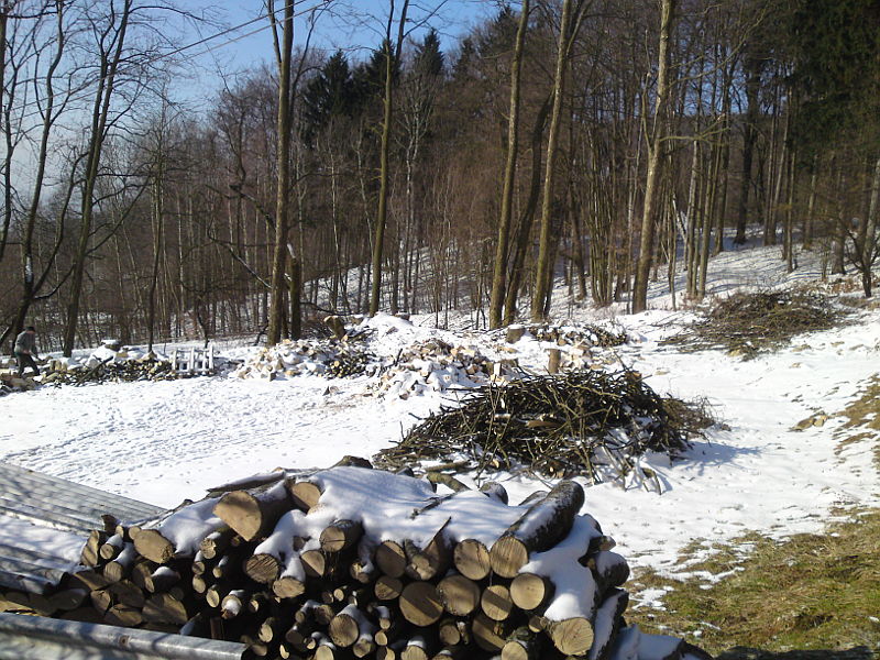 d�evo pod sn�hem