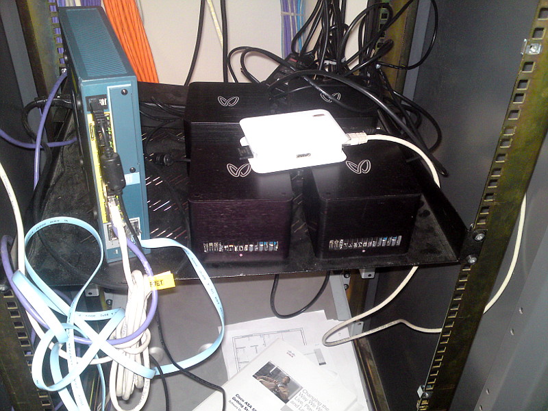 4x BFL Jalapeno 23gh/s