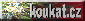 button na web